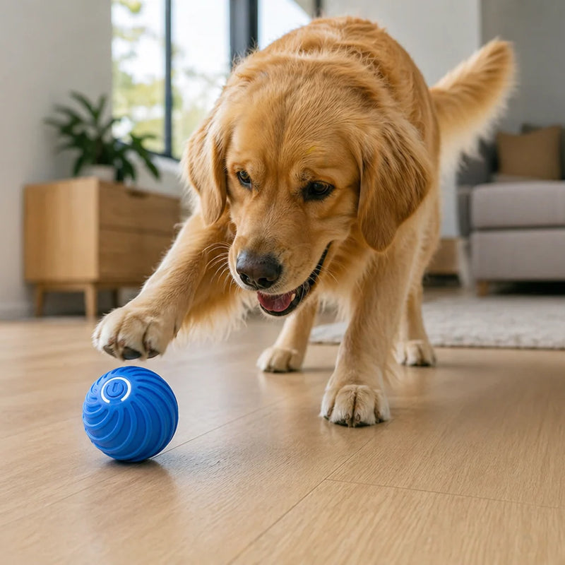 Pallina Interattiva Cani — Gioca da Sola